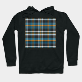 Pattern Scottish tartan Hoodie